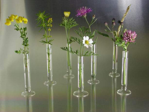 Vases Uno mini - lot de 3 pièces